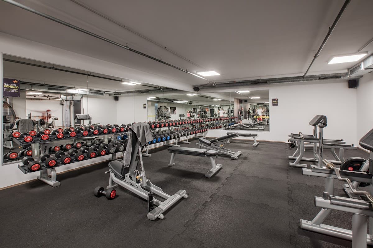 FIT STAR Laim - Bild 2