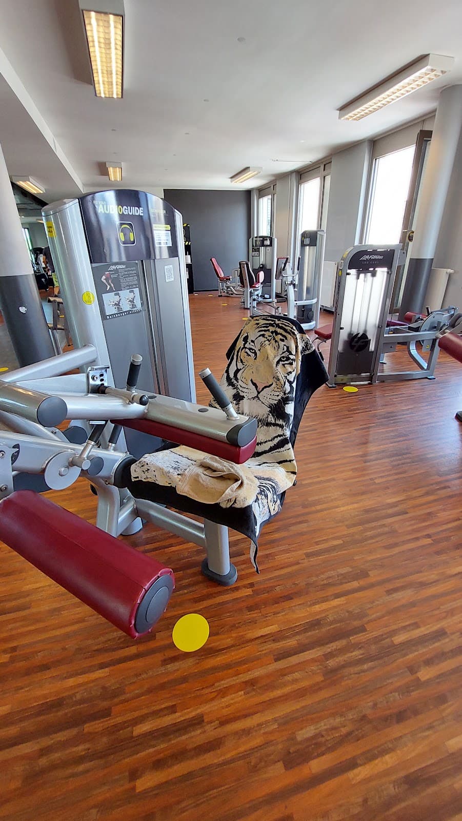 FIT STAR Pasing - Bild 4