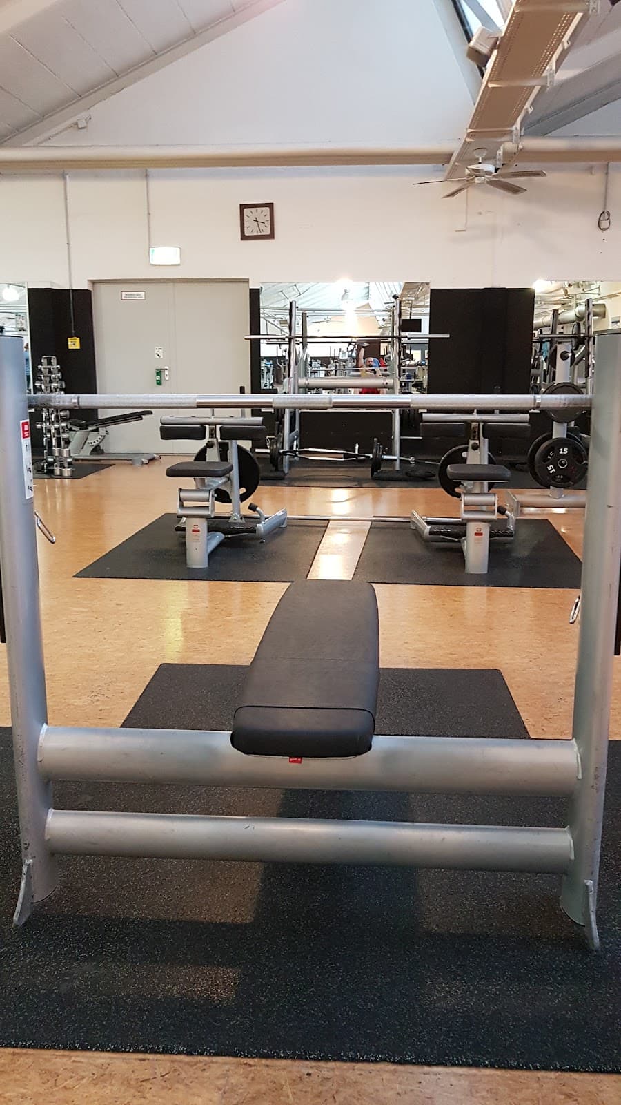 McFIT Fitnessstudio-Mannheim-Käfertal - Bild 2