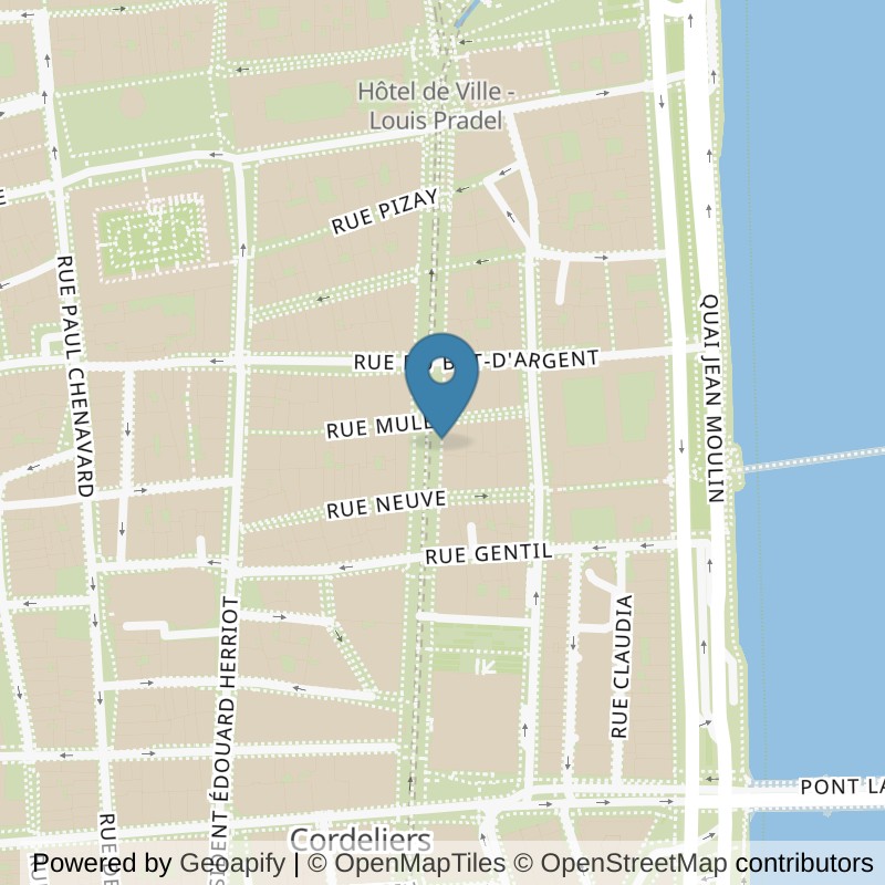 Map: location of Basic-Fit Lyon 13-15 Rue de la République in Lyon