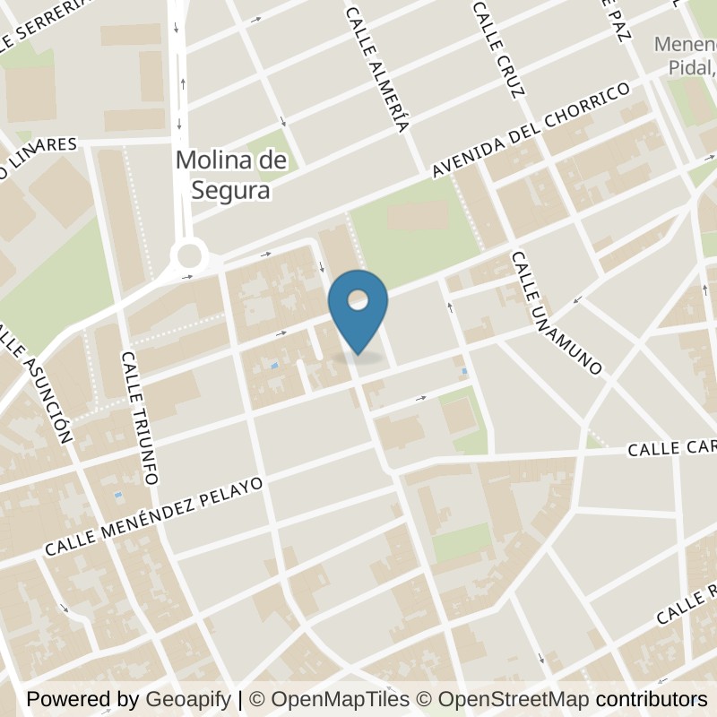 Map: location of Basic-Fit Calle Cuesta del Puente 98 Molina de Segura in Molina de Segura