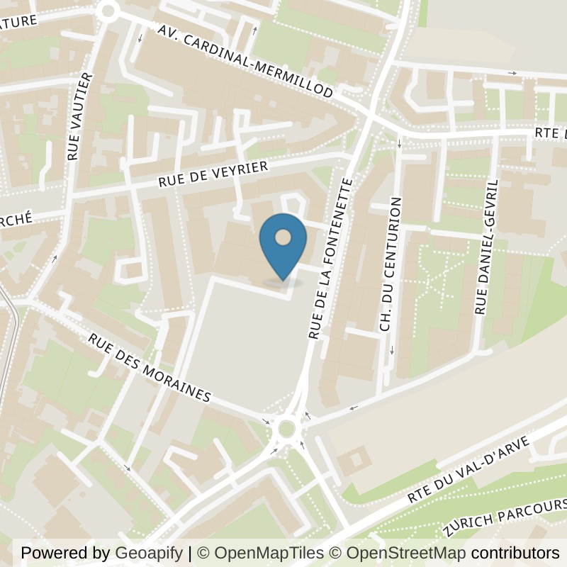 Map: location of Cage Academy in Carouge