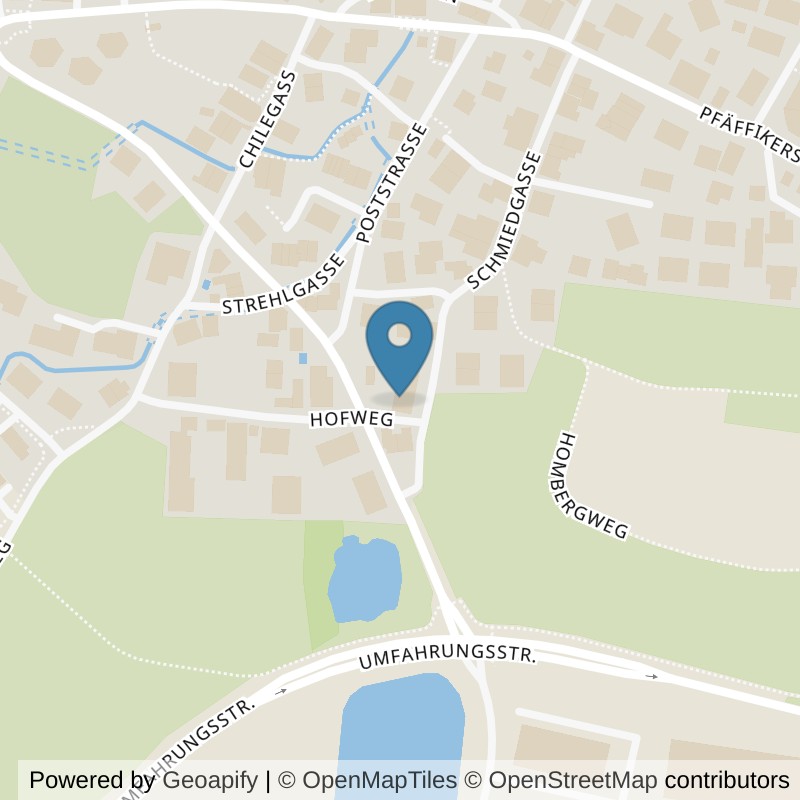 Map: location of fit mit Dick in Volketswil