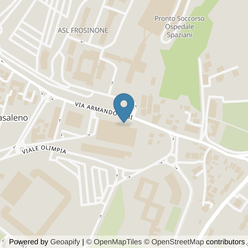 Map: location of ICON Palestre Frosinone in Frosinone