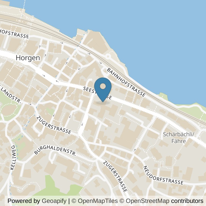 Map: location of Kieser Training Horgen in Horgen