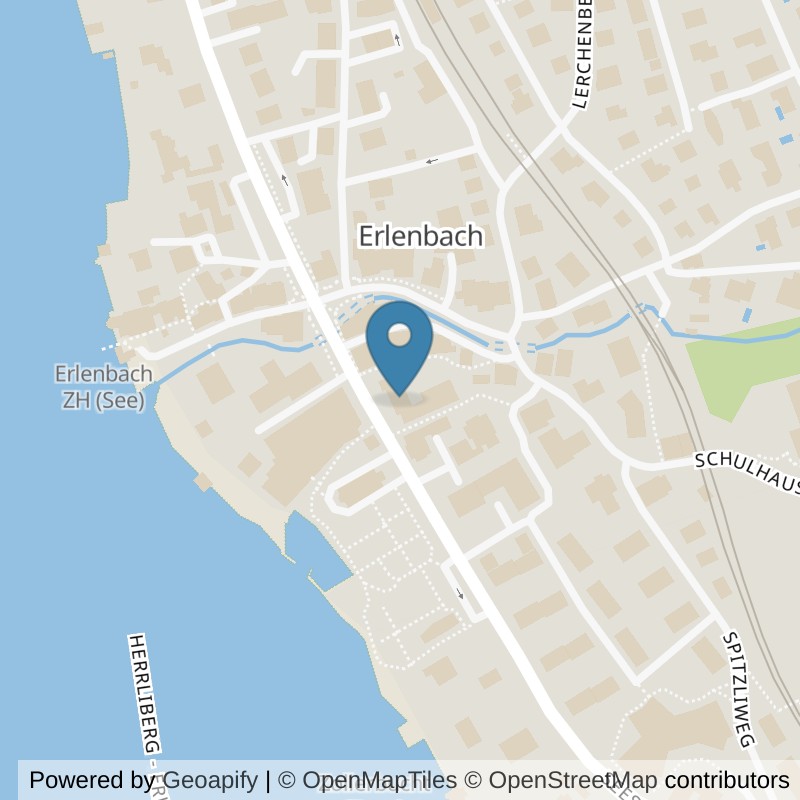 Map: location of New Iron Gym in Erlenbach